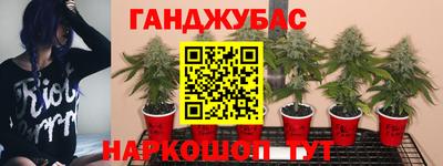 jwh Нарткала